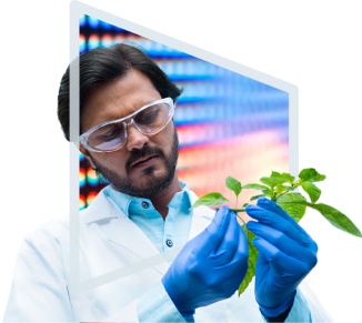 A scientist inspecting a plant